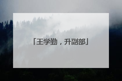 王学勤，升副部