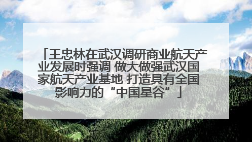 王忠林在武汉调研商业航天产业发展时强调 做大做强武汉国家航天产业基地 打造具有全国影响力的“中国星谷”