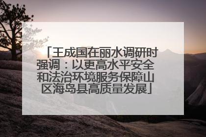 王成国在丽水调研时强调：以更高水平安全和法治环境服务保障山区海岛县高质量发展