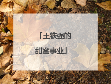 王铁强的甜蜜事业