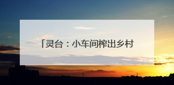 灵台：小车间榨出乡村全面振兴“幸福油”