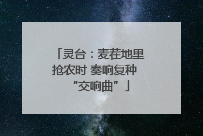 灵台：麦茬地里抢农时 奏响复种“交响曲”
