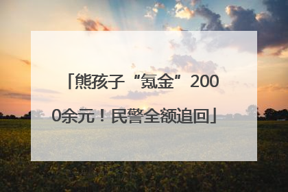 熊孩子“氪金”2000余元！民警全额追回