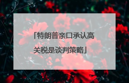 特朗普亲口承认高关税是谈判策略