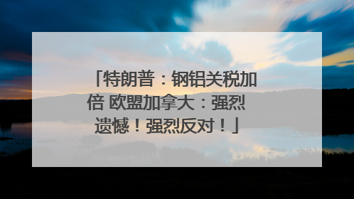 特朗普：钢铝关税加倍 欧盟加拿大：强烈遗憾！强烈反对！