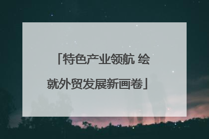 特色产业领航 绘就外贸发展新画卷
