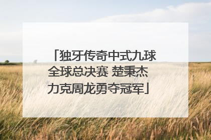 独牙传奇中式九球全球总决赛 楚秉杰力克周龙勇夺冠军
