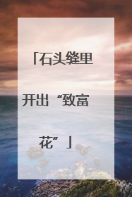 石头缝里开出“致富花”