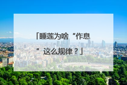 睡莲为啥“作息”这么规律？