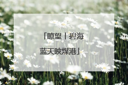 瞭望丨碧海蓝天映煤港