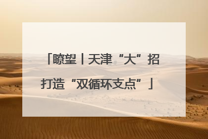 瞭望丨天津“大”招打造“双循环支点”