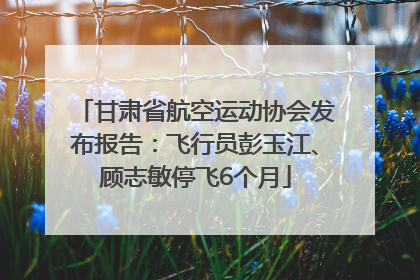 甘肃省航空运动协会发布报告：飞行员彭玉江、顾志敏停飞6个月