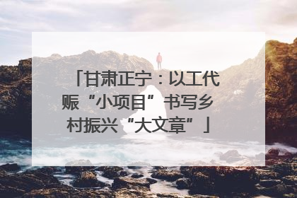 甘肃正宁：以工代赈“小项目”书写乡村振兴“大文章”