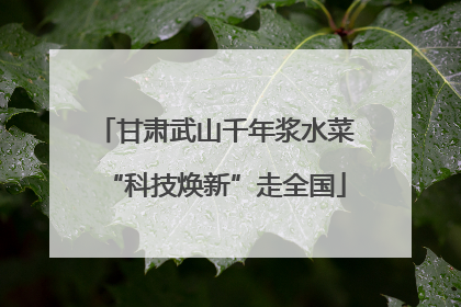 甘肃武山千年浆水菜“科技焕新”走全国