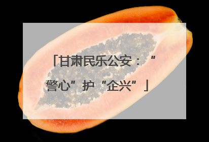 甘肃民乐公安：“警心”护“企兴”