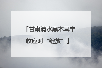 甘肃清水黑木耳丰收应时“绽放”