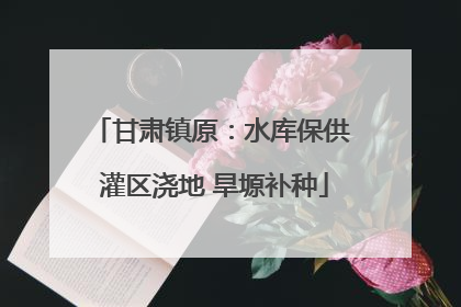 甘肃镇原：水库保供 灌区浇地 旱塬补种