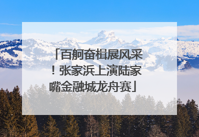 百舸奋楫展风采！张家浜上演陆家嘴金融城龙舟赛
