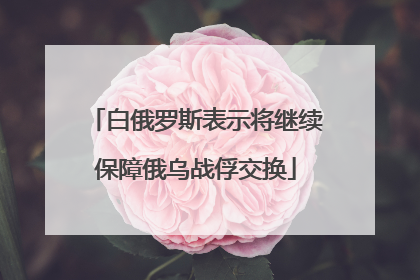 白俄罗斯表示将继续保障俄乌战俘交换