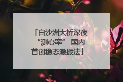白沙洲大桥深夜“测心率” 国内首创稳态激振法