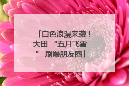 白色浪漫来袭！大田 “五月飞雪” 刷爆朋友圈
