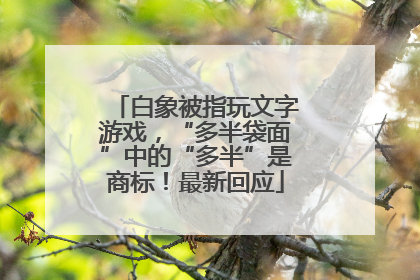 白象被指玩文字游戏，“多半袋面”中的“多半”是商标！最新回应