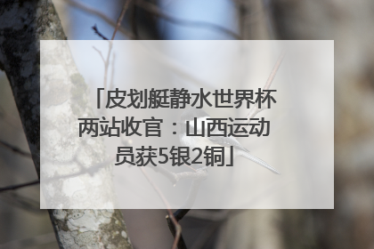 皮划艇静水世界杯两站收官：山西运动员获5银2铜