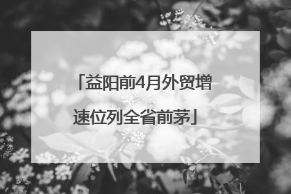 益阳前4月外贸增速位列全省前茅