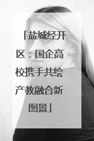 盐城经开区：国企高校携手共绘产教融合新图景