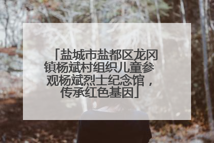 盐城市盐都区龙冈镇杨斌村组织儿童参观杨斌烈士纪念馆，传承红色基因