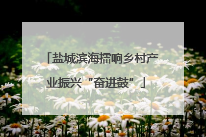 盐城滨海擂响乡村产业振兴“奋进鼓”