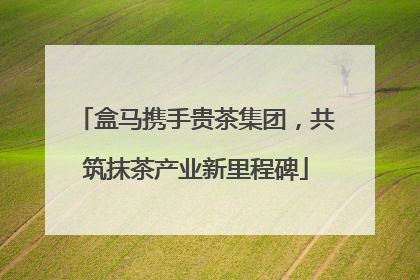 盒马携手贵茶集团，共筑抹茶产业新里程碑
