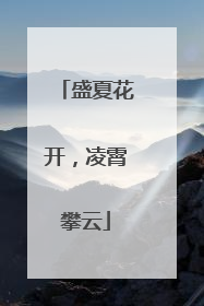 盛夏花开，凌霄攀云