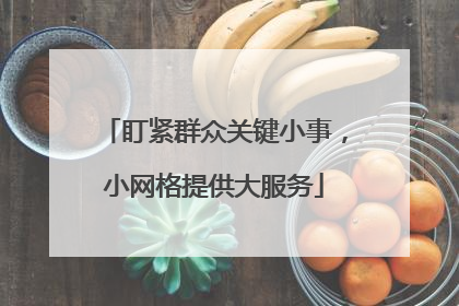 盯紧群众关键小事，小网格提供大服务
