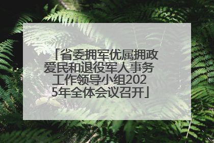 省委拥军优属拥政爱民和退役军人事务工作领导小组2025年全体会议召开