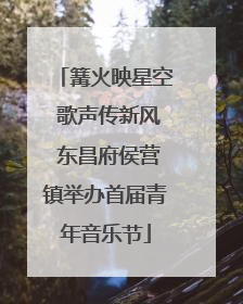 篝火映星空 歌声传新风 东昌府侯营镇举办首届青年音乐节