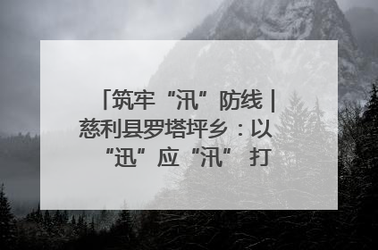 筑牢“汛”防线｜慈利县罗塔坪乡：以“迅”应“汛” 打赢暴雨防御战