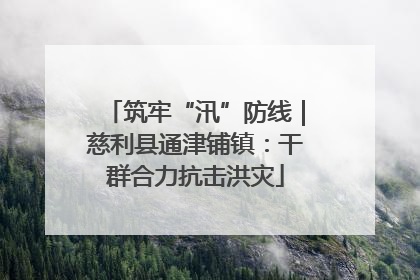 筑牢“汛”防线｜慈利县通津铺镇：干群合力抗击洪灾