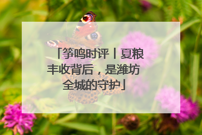 筝鸣时评丨夏粮丰收背后，是潍坊全城的守护