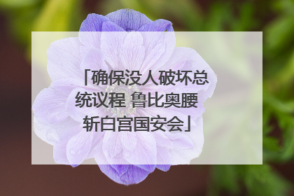 确保没人破坏总统议程 鲁比奥腰斩白宫国安会