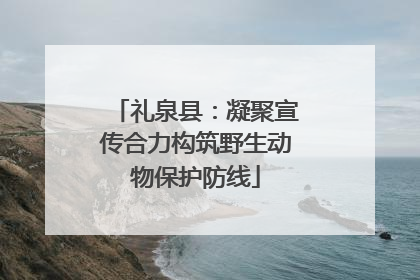 礼泉县：凝聚宣传合力构筑野生动物保护防线