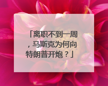 离职不到一周，马斯克为何向特朗普开炮？