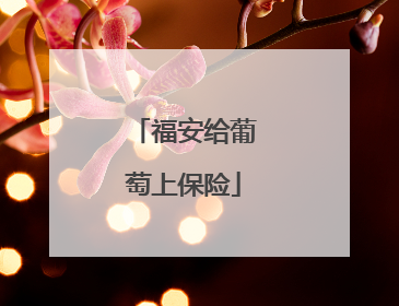 福安给葡萄上保险