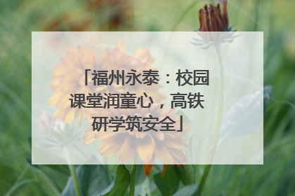 福州永泰：校园课堂润童心，高铁研学筑安全