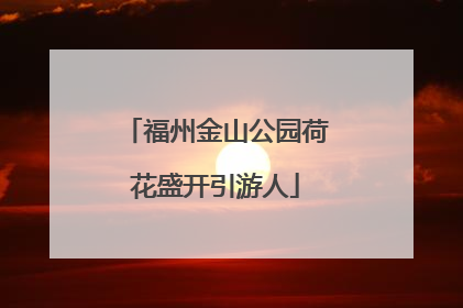 福州金山公园荷花盛开引游人