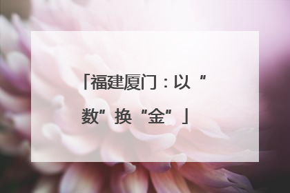 福建厦门：以“数”换“金”