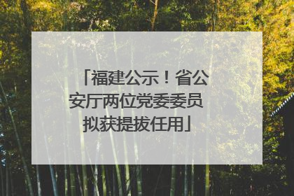 福建公示！省公安厅两位党委委员拟获提拔任用