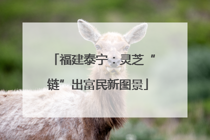 福建泰宁：灵芝“链”出富民新图景
