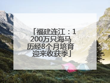 福建连江：1200万只海马历经8个月培育 迎来收获季