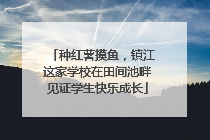 种红薯摸鱼，镇江这家学校在田间池畔见证学生快乐成长